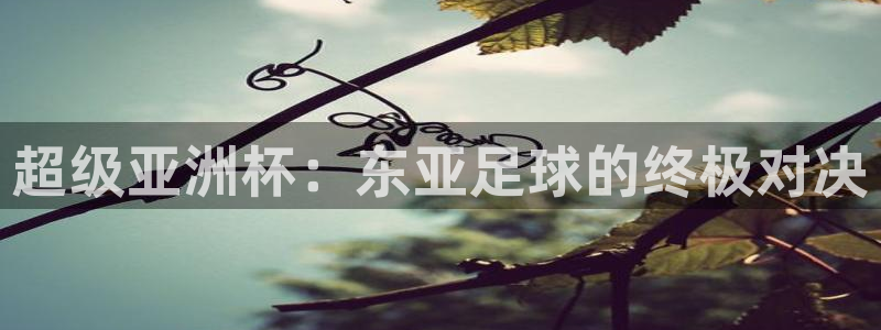 悟空体育怎么样：超级亚洲杯：东亚足球的终极对决
