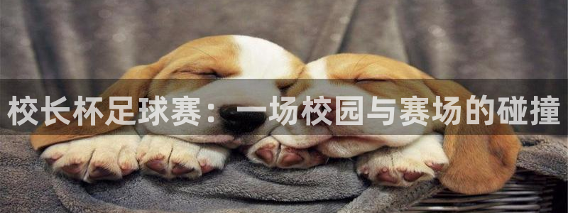 悟空体育平台网页版：校长杯足球赛：一场校园与赛场的碰撞
