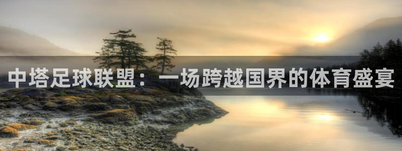 悟空体育鞋子：中塔足球联盟：一场跨越国界的体育盛宴
