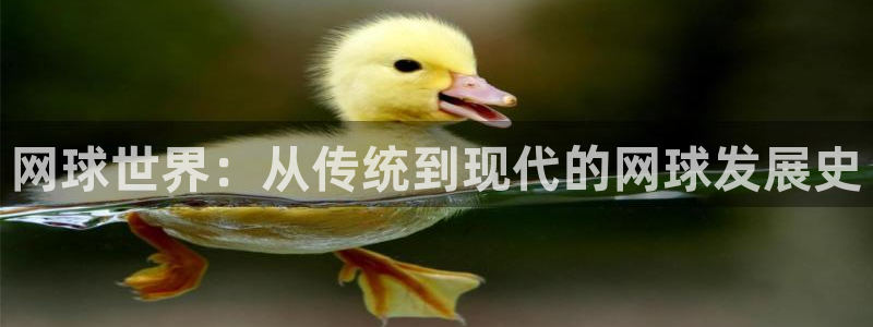 悟空体育官网入口登录APP下载：网球世界：从传统到现代的网球