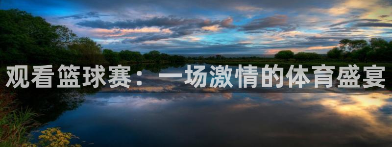 悟空体育华体育：观看篮球赛：一场激情的体育盛宴
