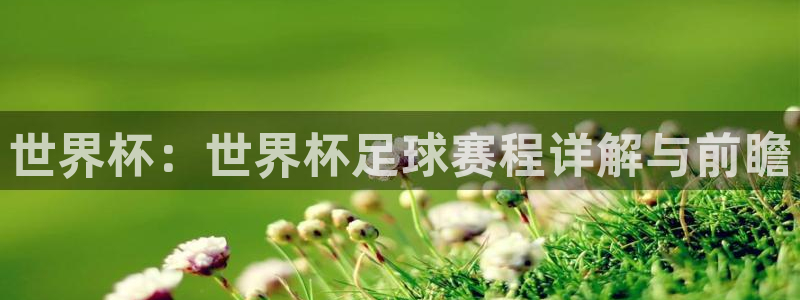 悟空体育篮球：世界杯：世界杯足球赛程详解与前瞻